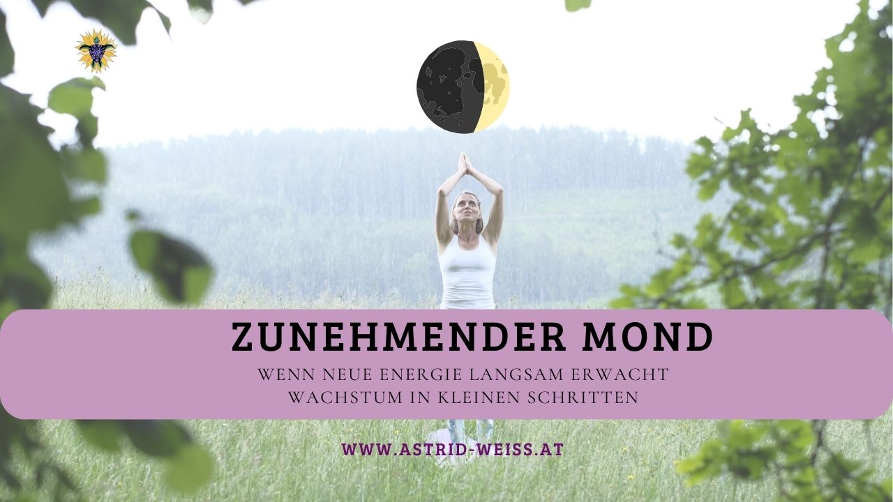 🌒Zunehmender Mond – wenn neue Energie langsam erwacht